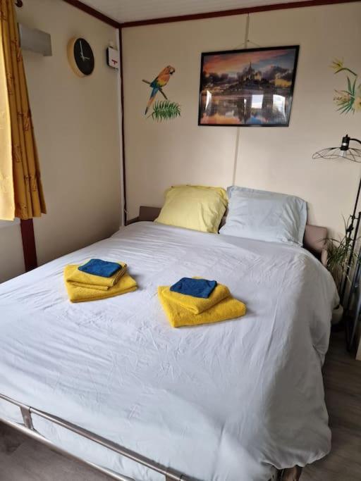 Proche Mont St Michel, Privatif En Option ,st Malo * Saint-Marcan